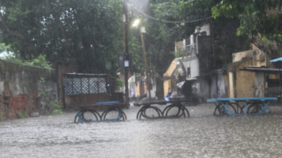सांकेतिक तस्वीर