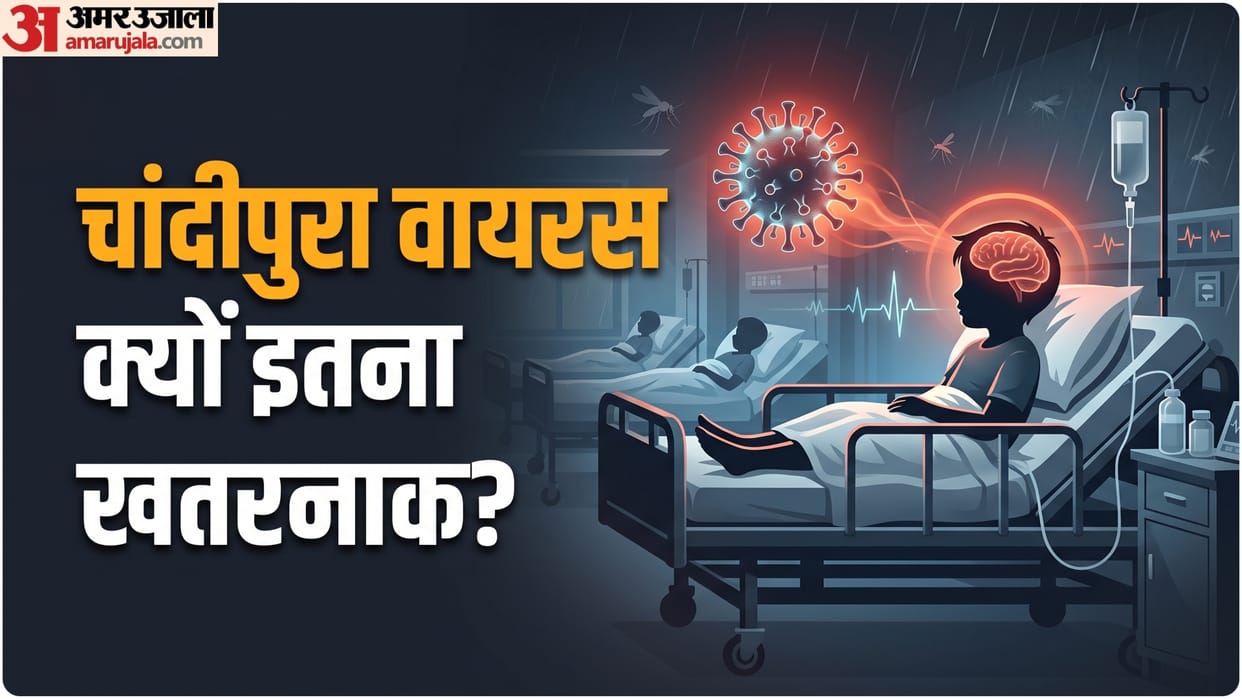 chandipura virus in rajasthan news Chandipura infection causes encephalitis know other risks