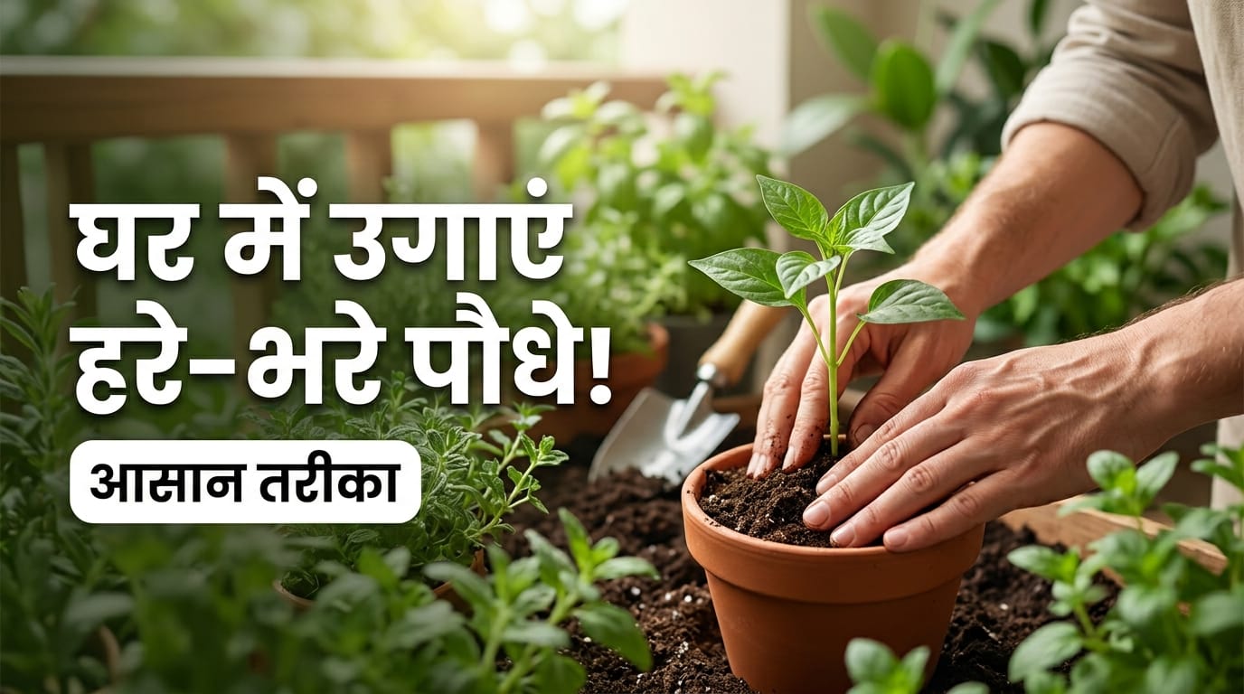 Home Gardening Tips For Beginners Gardening Checklist In hindi