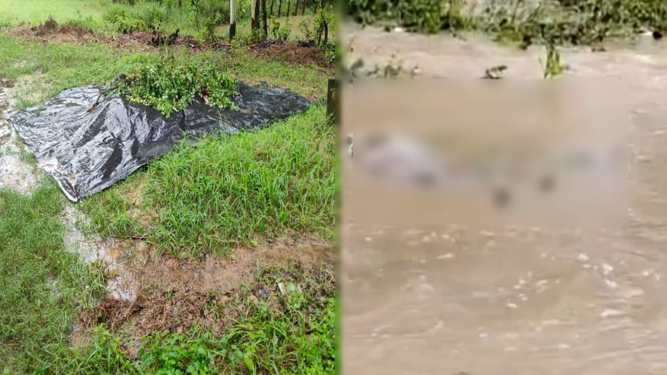 Saharanpur: Hindon River Erosion Exposes Two Graves, Bodies Reburied with Religious Rites