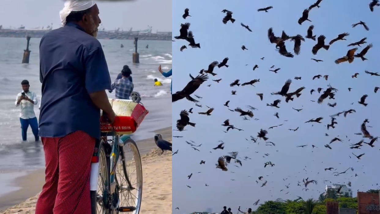 Eagle man of calicut who has been feeding eagles for the past 30 years in kozhikode beach viral video