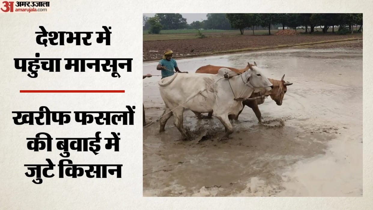 southwest monsoon covers india kharif crops cotton sowing soybean sowing agriculture ministry rainfall update