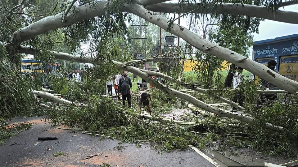 Rain Wreaks Havoc: Heavy vehicles halted on the Delhi-Pauri Highway