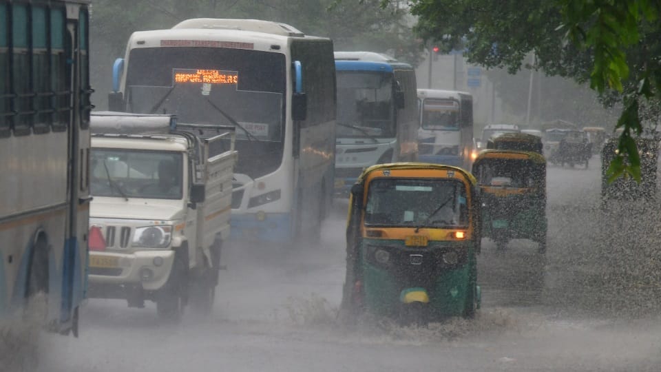 Monsoon El Nino worst possible outlook for monsoon in august september october due to el nino