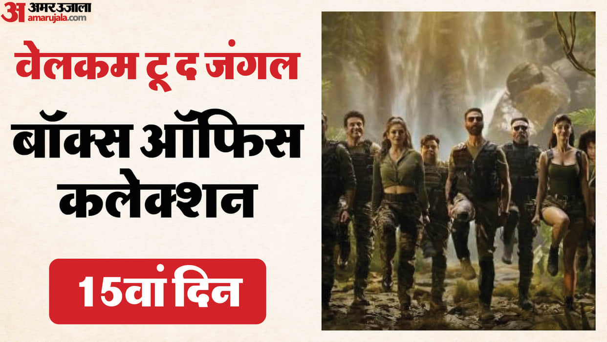 Welcome To The Jungle Movie Day 14 Box Office Collection Akshay Kumar Suniel Shetty Disha Patani Movie Earning