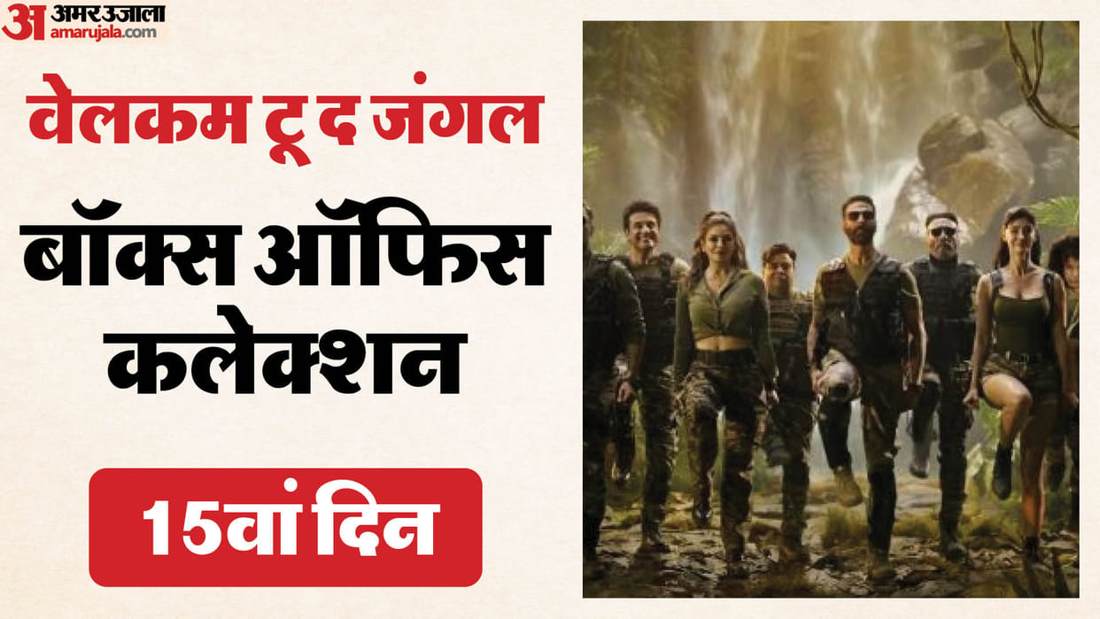Welcome To The Jungle Movie Day 14 Box Office Collection Akshay Kumar Suniel Shetty Disha Patani Movie Earning
