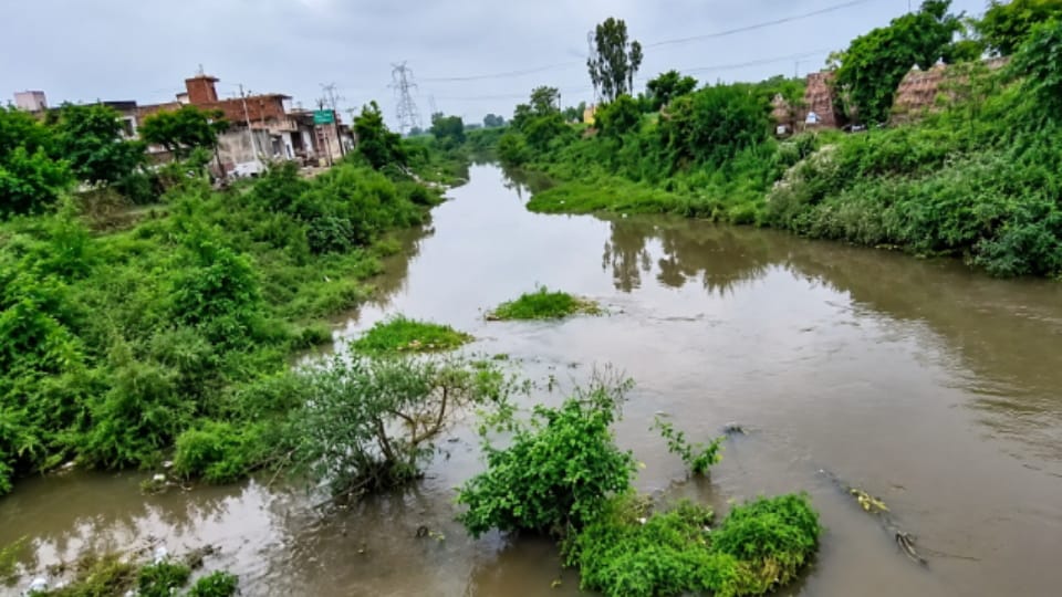 Meerut: Three Days of Rain Revive Kali River, Flow Returns After Years