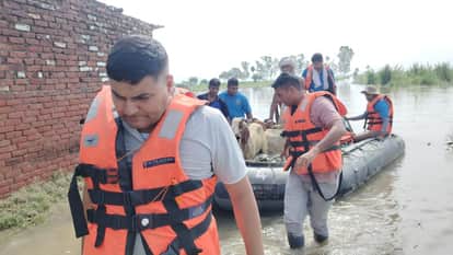 Meerut: 250 Goats Rescued from Flooded Area in Meerut Using Police Motorboat