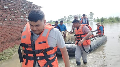 Meerut: 250 Goats Rescued from Flooded Area in Meerut Using Police Motorboat