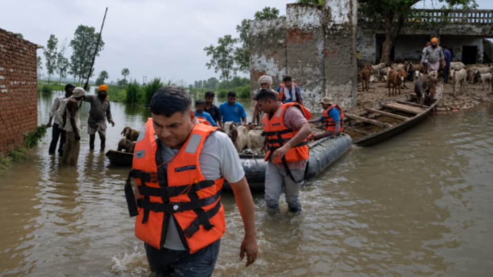 Meerut: 250 Goats Rescued from Flooded Area in Meerut Using Police Motorboat