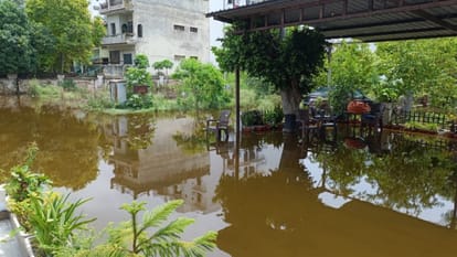 Snake Enters Former India Cricketer Praveen Kumar's House Amid Waterlogging in Meerut