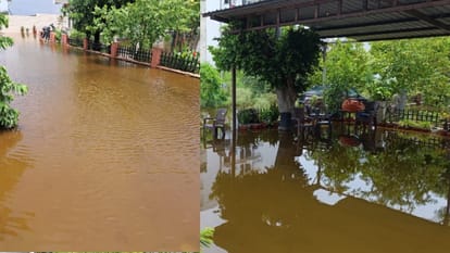 Snake Enters Former India Cricketer Praveen Kumar's House Amid Waterlogging in Meerut