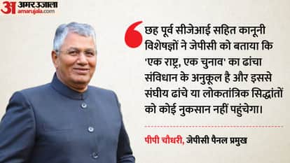 पीपी चौधरी, जेपीसी पैनल प्रमुख