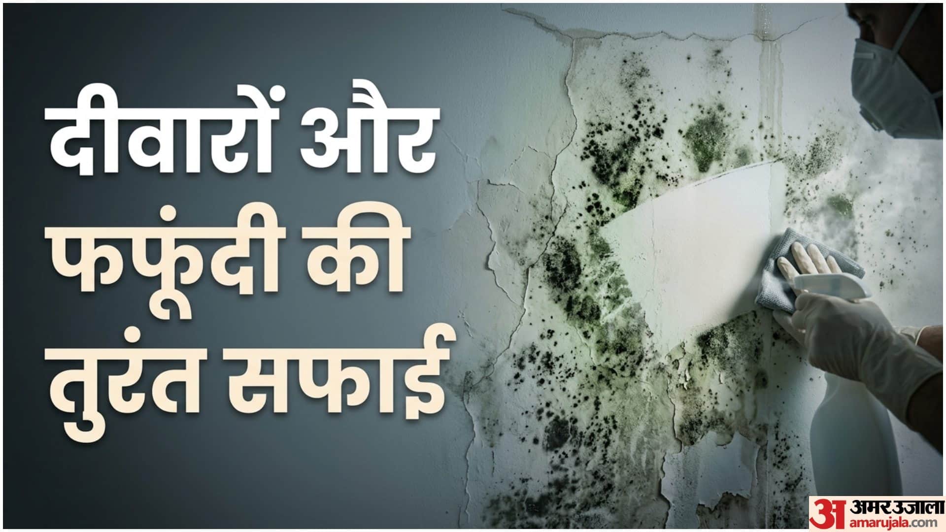 Home Damp Smell Remedies In Monsoon Mein Seelan Ki Badbu Kaise Hataye Disprj
