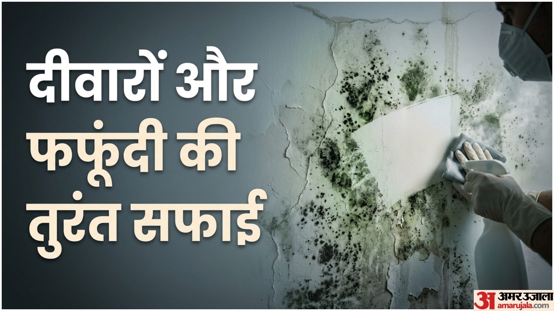 Home Damp Smell Remedies In Monsoon Mein Seelan Ki Badbu Kaise Hataye Disprj