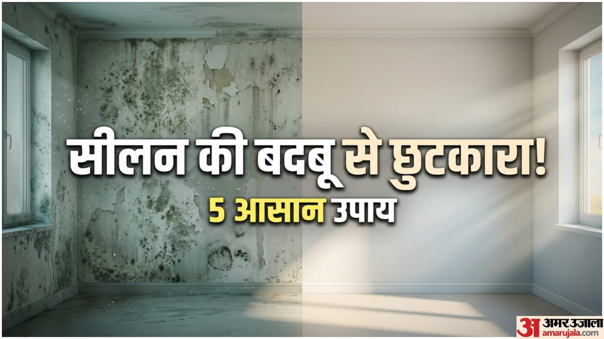 Home Damp Smell Remedies In Monsoon Mein Seelan Ki Badbu Kaise Hataye Disprj
