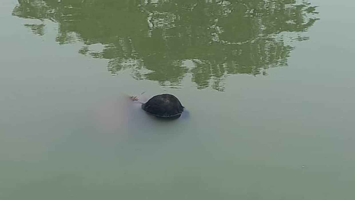 Azamgarh News Sensation after youth head spotted floating in pond murder suspected working identify deceased