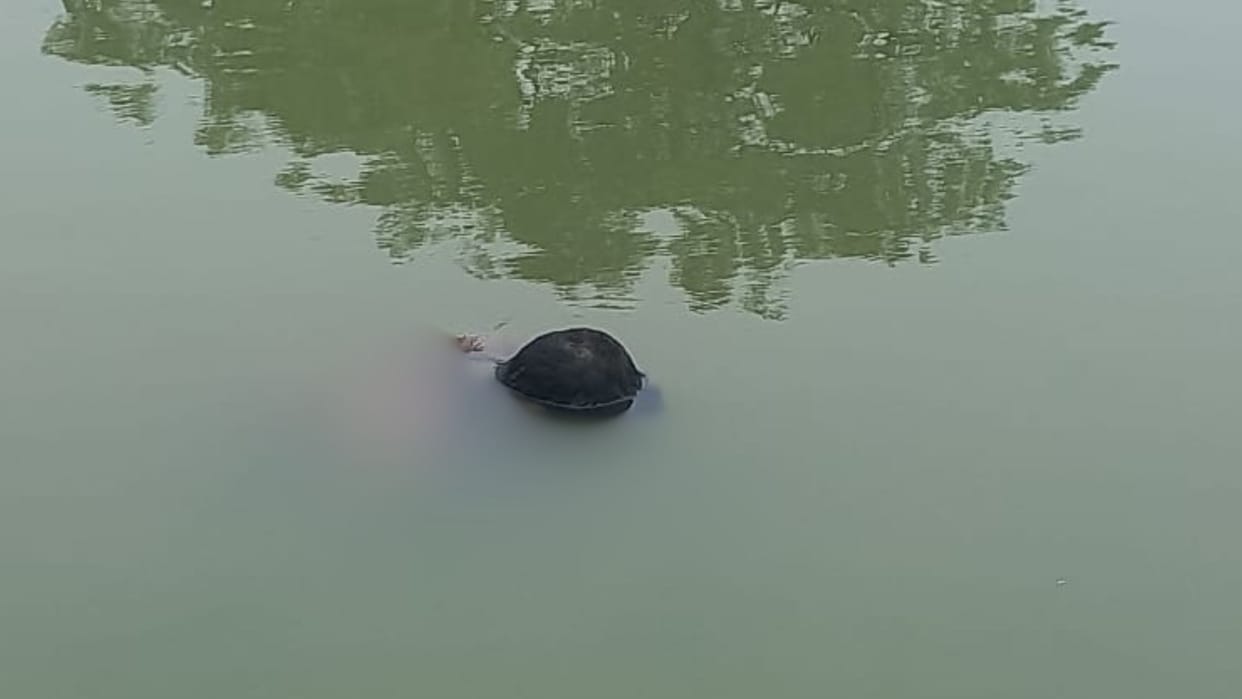 Azamgarh News Sensation after youth head spotted floating in pond murder suspected working identify deceased