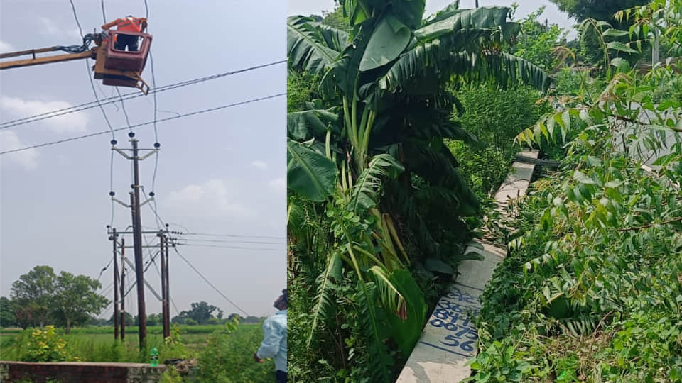 Storm and rain topple 10 poles, cutting power to over 140 villages