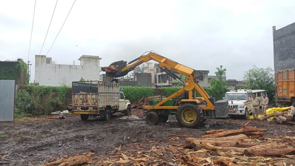 Uttarakhand Forest Department team raided Baheri and recovered wood worth Rs 20 lakh from the warehouse