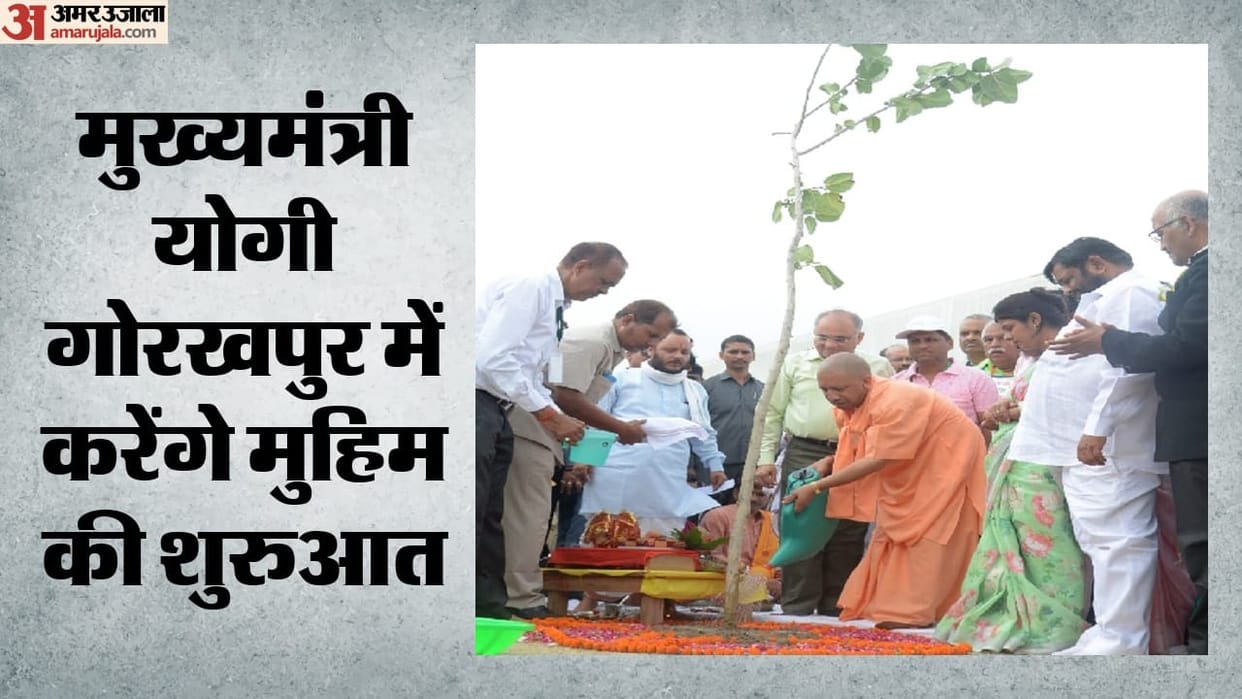 Plantation Drive: 35 crore saplings to be planted in UP today; CM to plant a tree in his mothers name