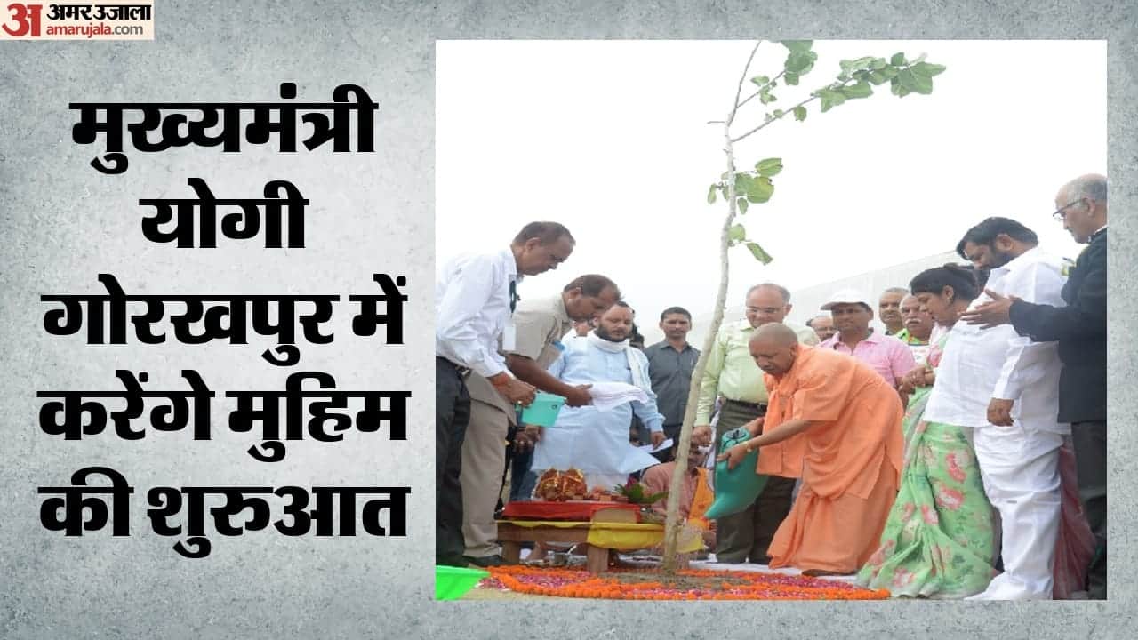 फाइल फोटो।