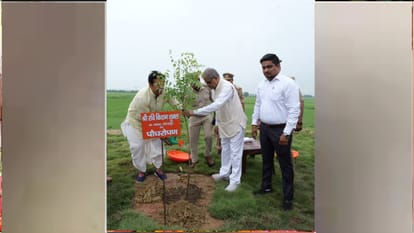 CM Yogi planted a sacred Triveni sapling on Gorakhpur Link Expressway and a Maulshree sapling in Mohaddipur