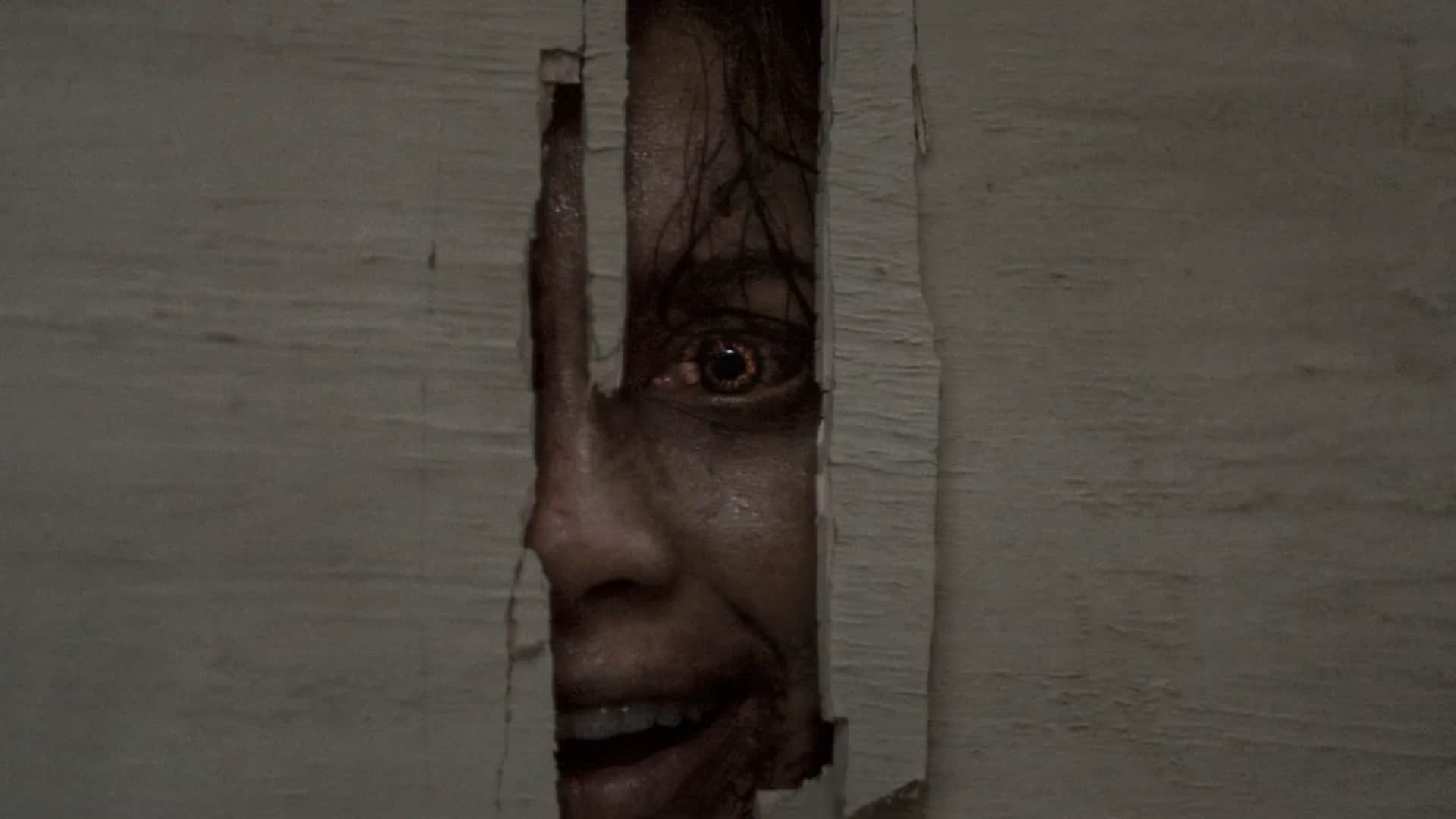 Evil Dead Burn box office collection on day 5 Defeated alpha and welcome to the jungle