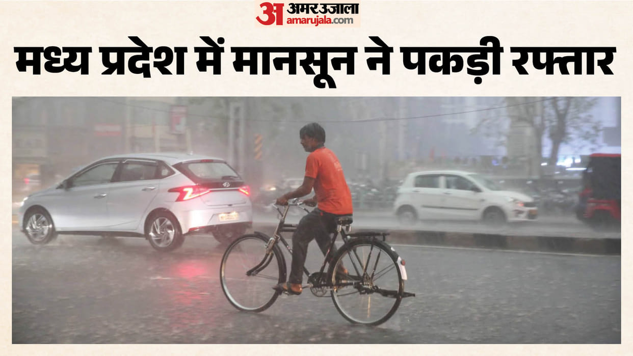 MP Weather Today: July makes up for June's deficit; MP fulfills 25% of its rainfall quota; rain alert issued f