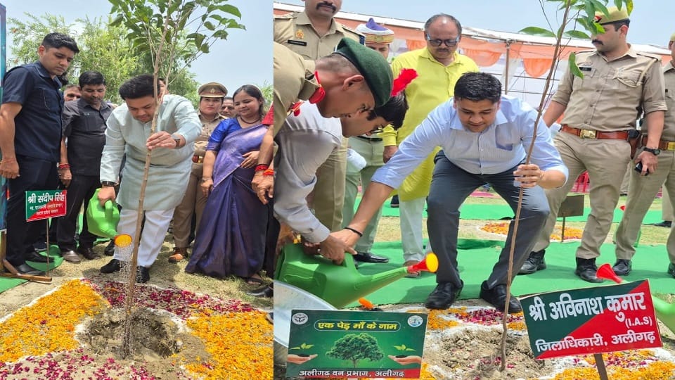 Plantation in Shekha jheel Aligarh