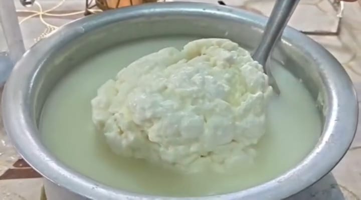 Milk bought from a shop turned into rubber upon boiling