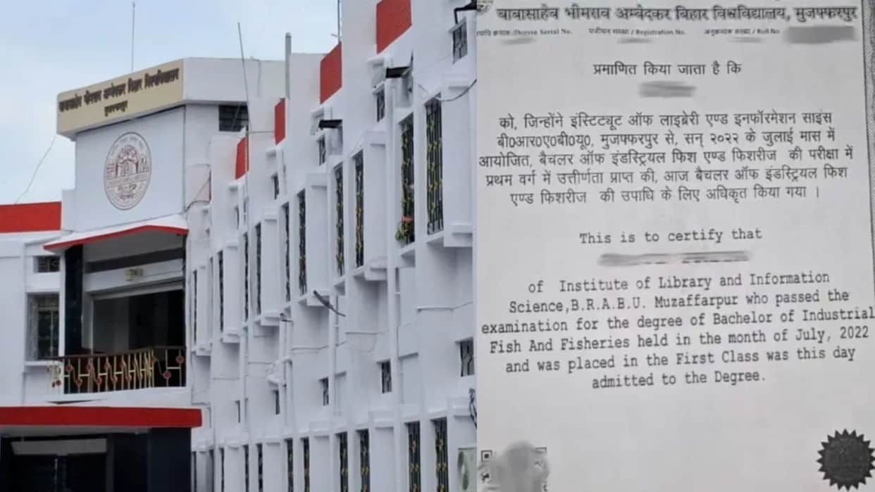 Bihar news studied one subject but received degree in another, after eight month brabu