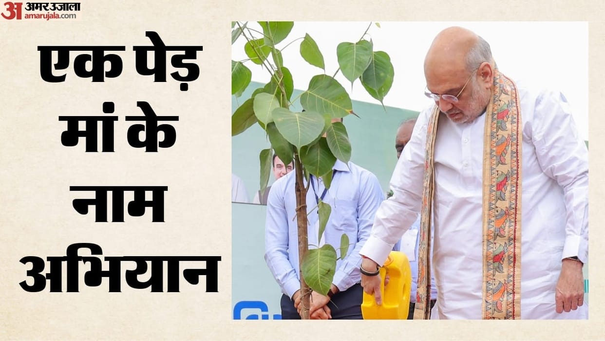 gandhinagar-creates-guinness-world-record-by-planting-3-61-lakh-saplings-in-one-hour