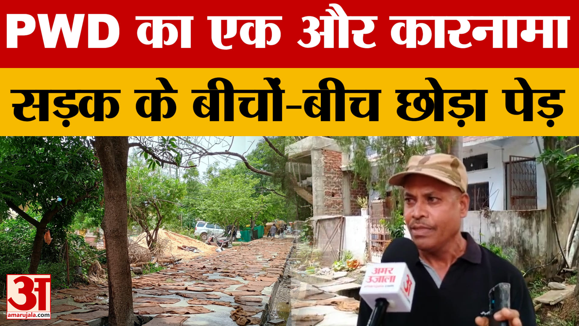 Bhopal News: राजधानी में PWD इंजीनियरिंग का एक और कारनामा, रोड के बीचों-बीच छोड़ दिया पेड़
