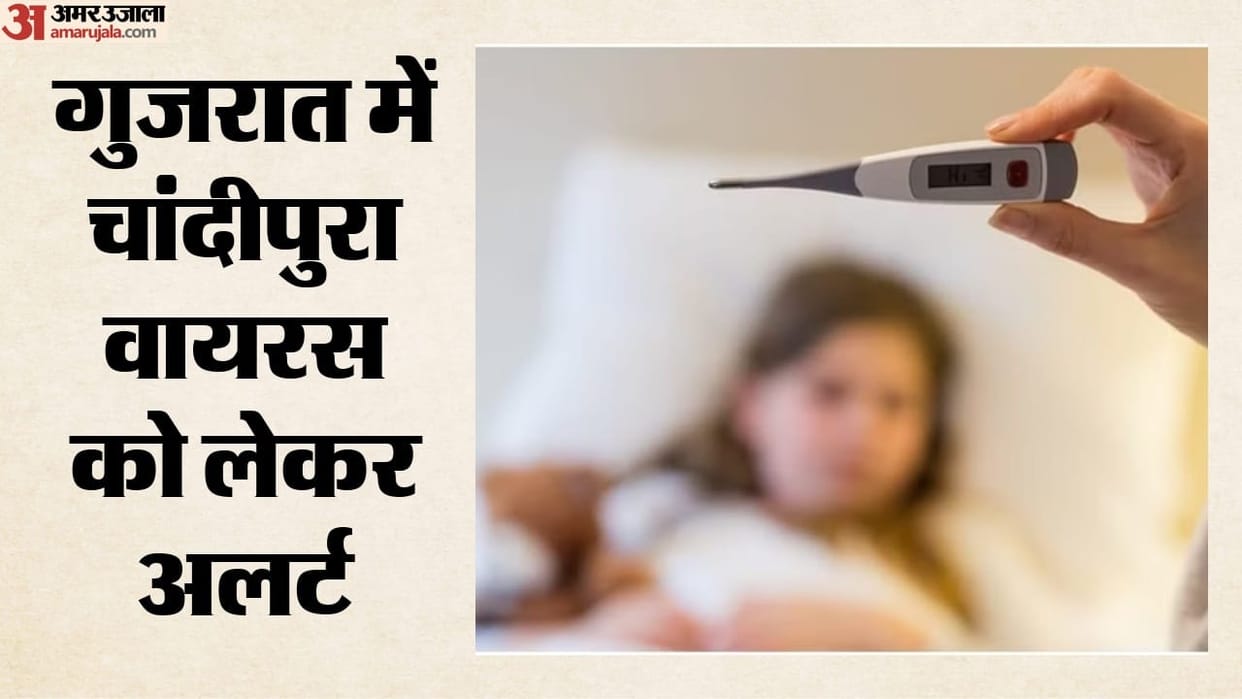children die of Chandipura virus in Gujarat in latest outbreak many under treatment health department alert