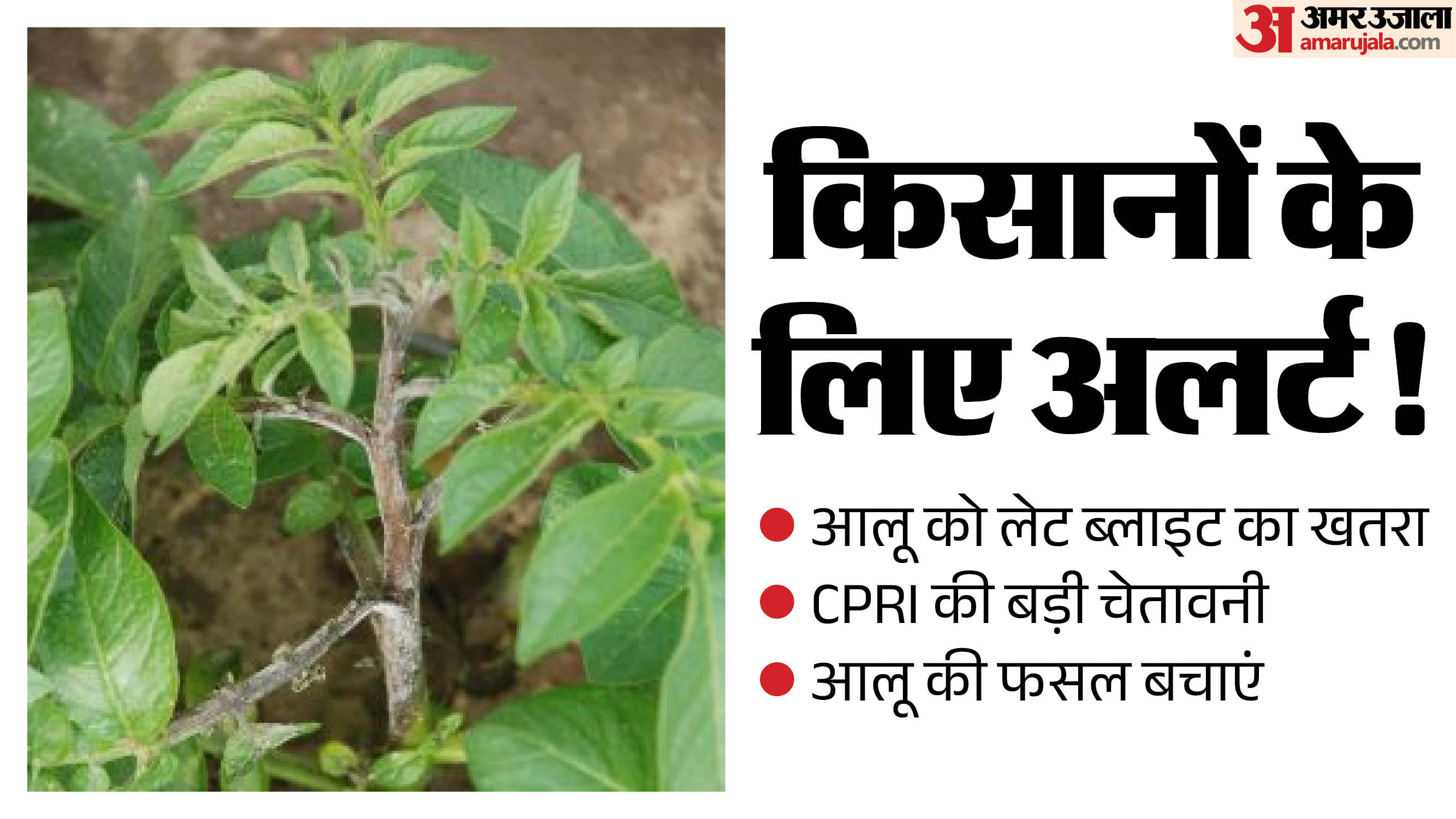 किसानों के लिए अलर्ट