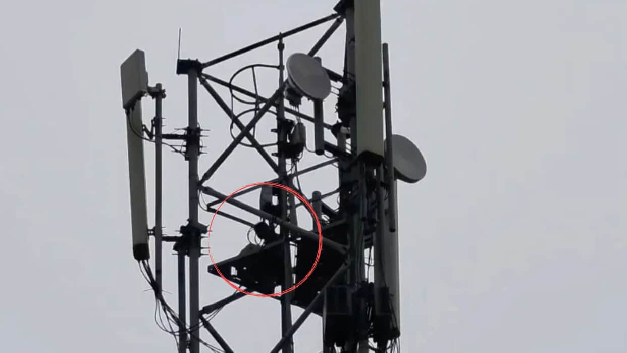 Girlfriend adamant marriage inor climb mobile tower summon boyfriend