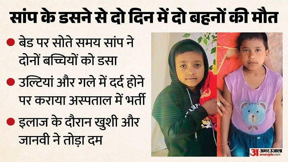 Two real sisters died in two days due to snake bite in Narkhi in Firozabad