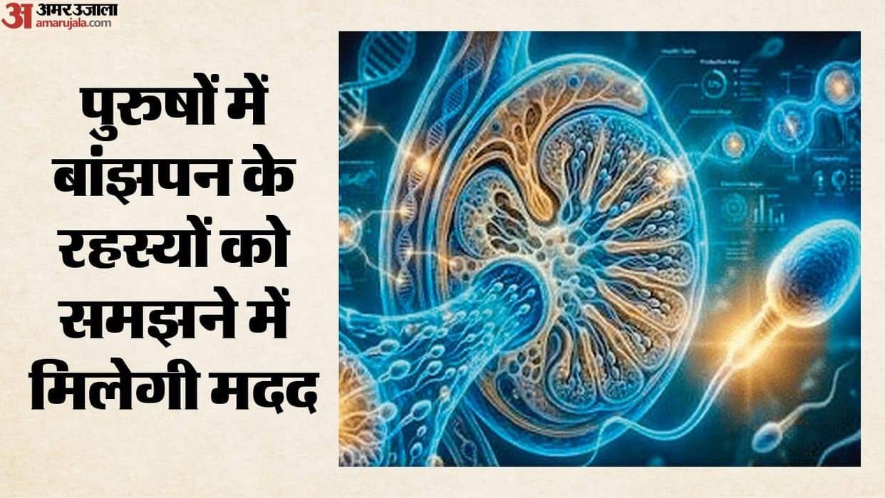 scientists-create-early-human-sperm-cells-from-stem-cells-breakthrough-in-male-infertility-research