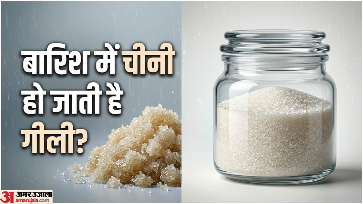 Monsoon Kitchen Tips How To Store Sugar In Rainy Season