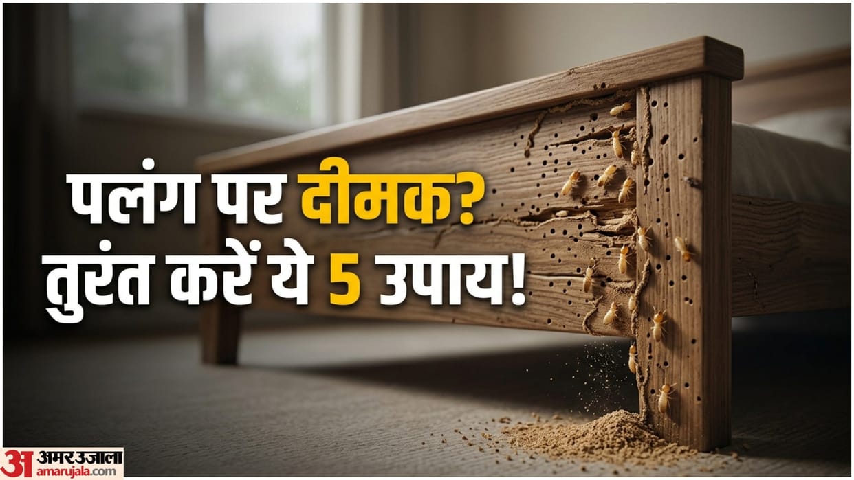 Furniture Termite Remedies In Hindi Wooden Bed Care Tips Deemak Se Bachav