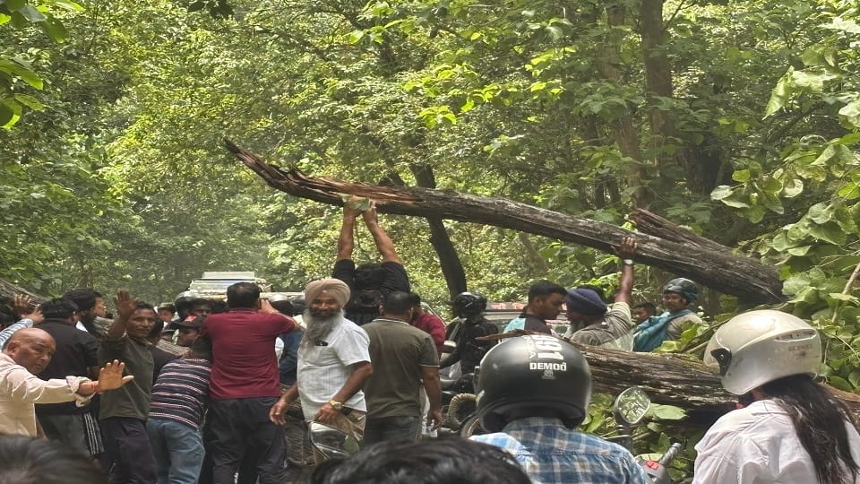 Traffic halted due to falling of tree on Chorgalia-Sitarganj road
