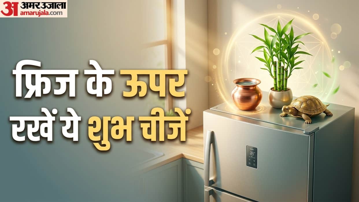 Vastu tips for fridge vastu ke anusar fridge ke upar kya rakhna chahiye vastu tips to attract money