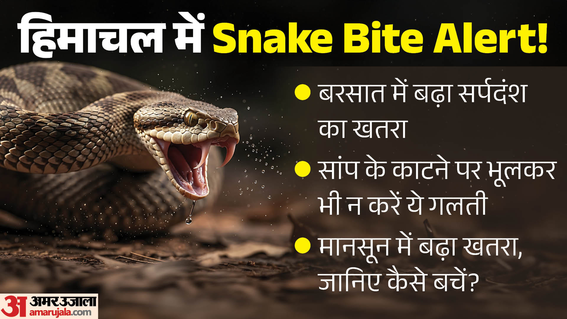 हिमाचल प्रदेश में मानसून के साथ बढ़ा सर्पदंश का खतरा