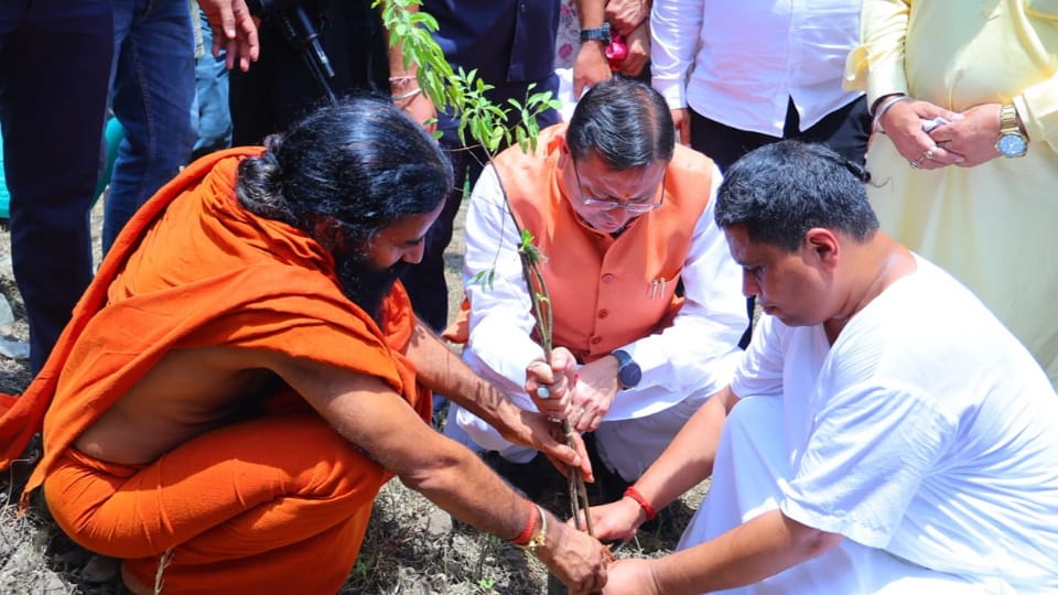 हरेला पर्व पर सीएम धामी ने लगाया पौधा