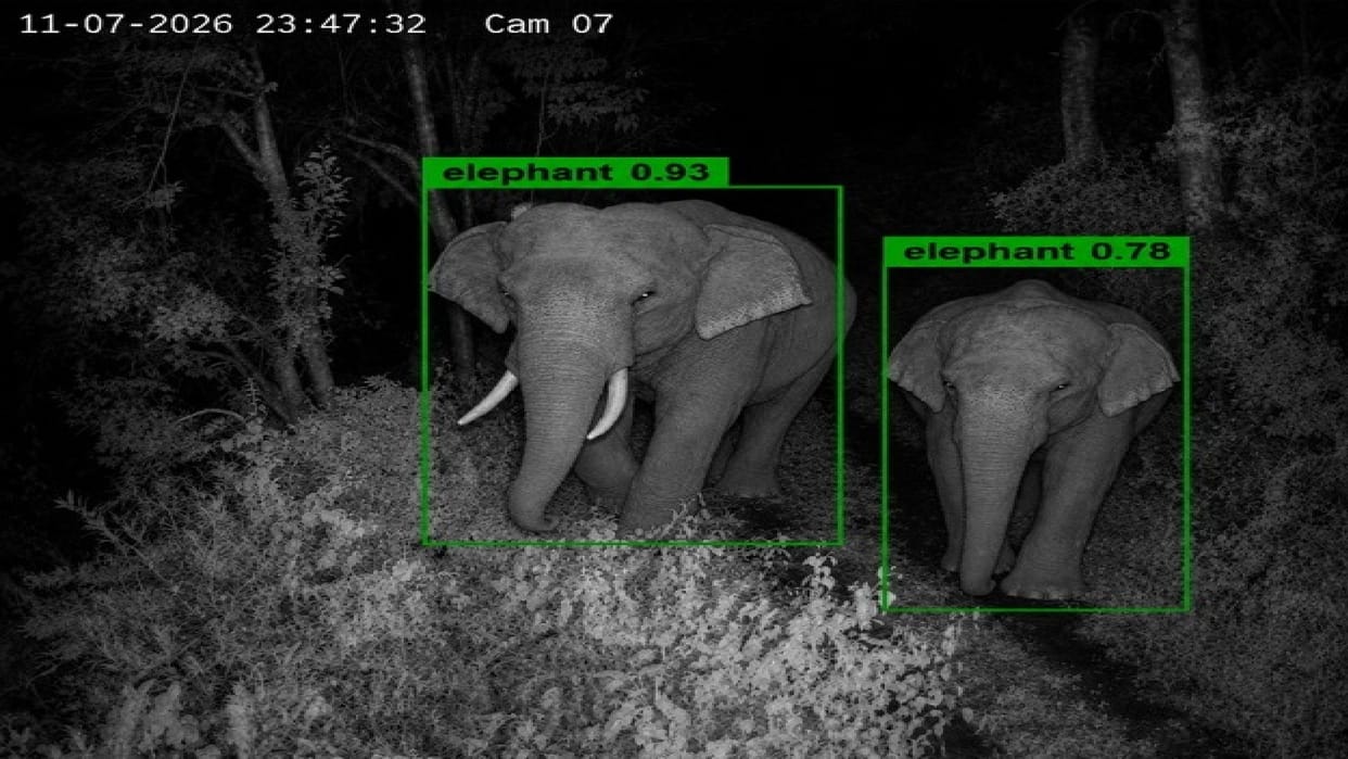 AI technology will protect CG forests Smart surveillance trial begins in Udanti Sitanadi Tiger Reserve