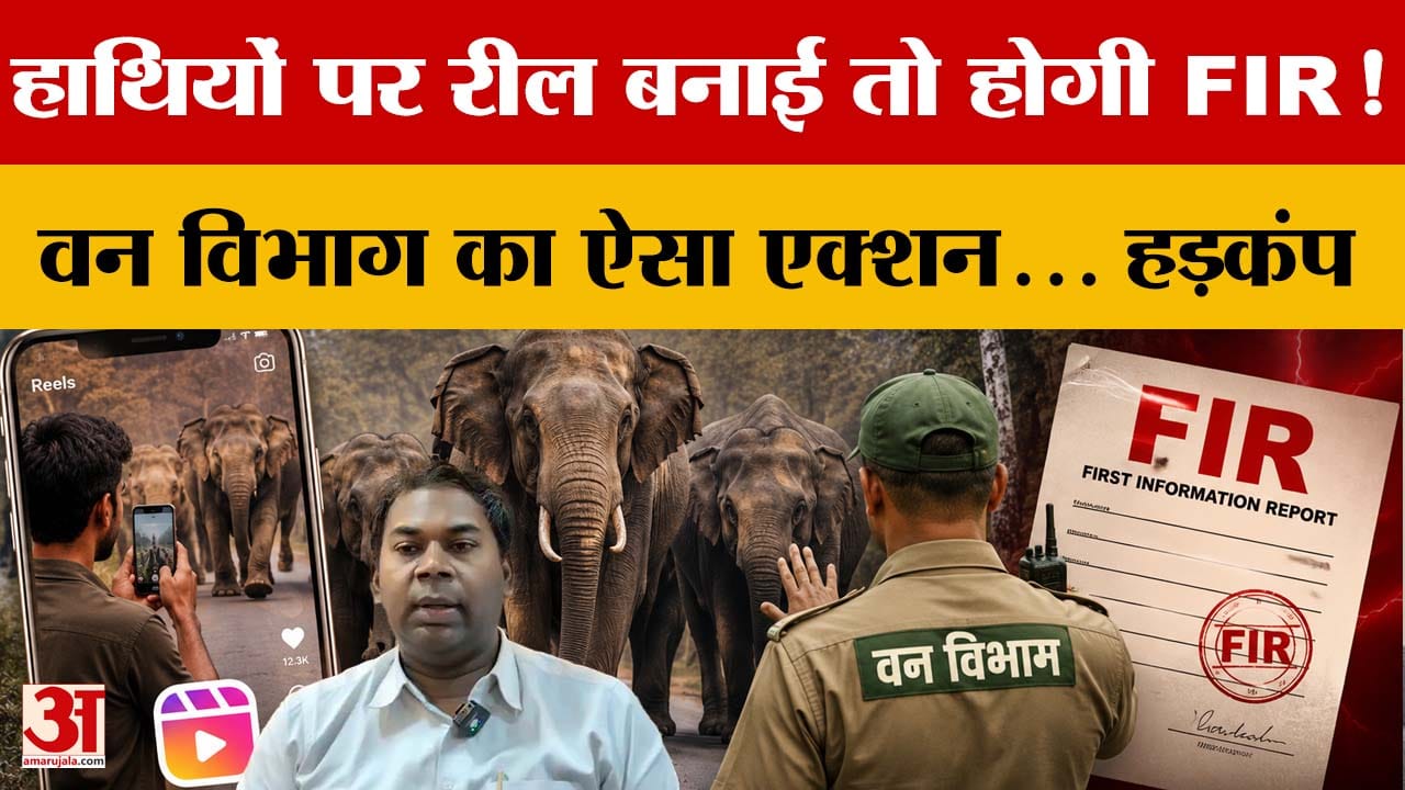 Jharkhand News: हाथियों पर Fake Reel बनाने वालों पर कार्रवाई, Forest Department ने कसी कमर | Ranchi