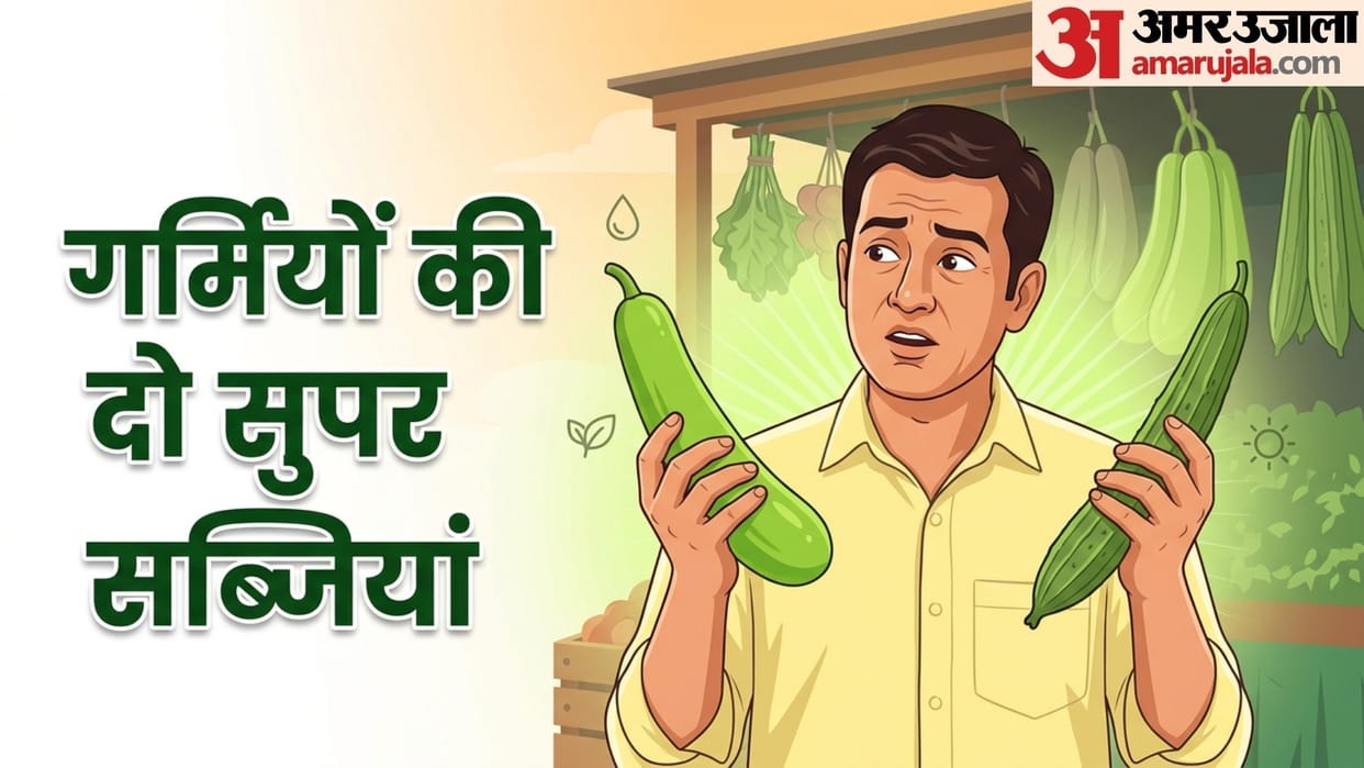 lauki aur turai kya khana chahiye bottle gourd or ridge gourd which is better in summer
