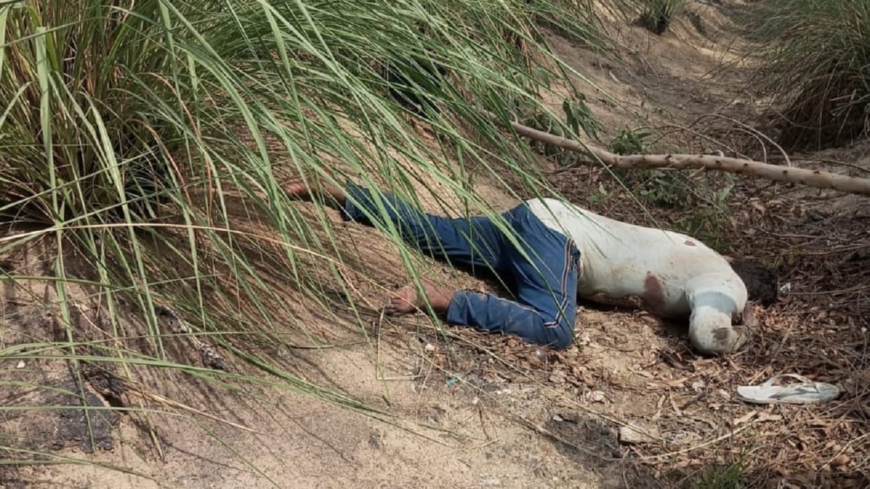 Man beaten to death with sticks in Bahadurgarh; accused dumped the body in bushes on Beri Road