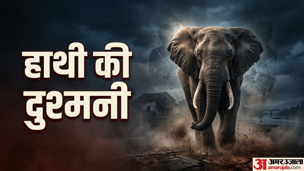 The Same Wild Elephant Has Killed Four Members of One Family Over 14 Years Weird News